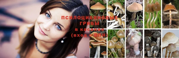 тгк Верхний Тагил