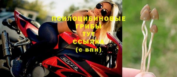тгк Верхний Тагил