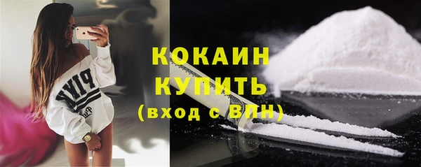 дживик Верея