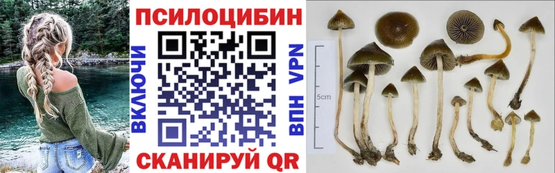Галлюциногенные грибы GOLDEN TEACHER  купить  цена  Дербент 